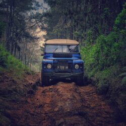 Top Cameras for Wet and Rugged Adventure
