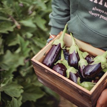 pexels-zen-chung-5529949