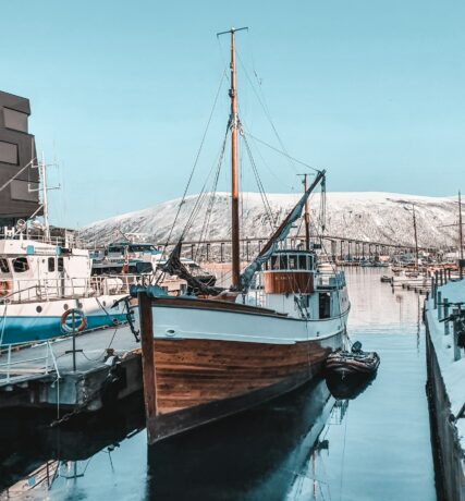 pexels-tobias-bjørkli-2119704