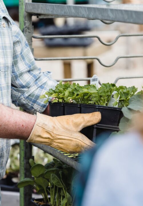 pexels-greta-hoffman-7728344