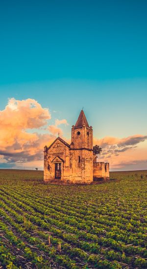 pexels-sergio-souza-1782015